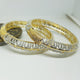 Hs 4840 Gold plated Bangles pair
