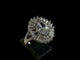 Hb 1556 Silver plated Ring