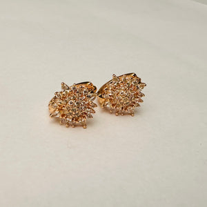 Hk 1083 Rose Gold plated Ear tops(W)