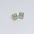 Hk 978 Rose Gold plated Earings(Mint)