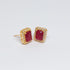 Hk 972 Rose Gold plated Earings (R)