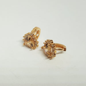 Hk 843 Rose gold plated Ear(Tops)(C)