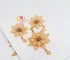 Hb 5537 Gold Plated Pendant Set