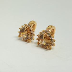 Hk 843 Rose gold plated Ear(Tops)(C)