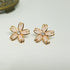 Hk 872 Rose gold plated Earings(P)