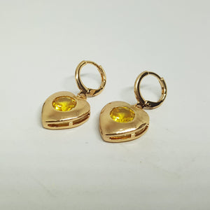 Hk 849 Rose gold plated Earings(y)